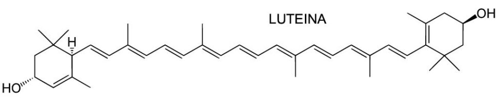 luteina-zeaxantna-struttura-chimica